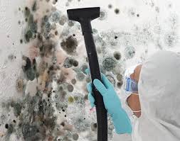 Why You Should Choose Our Mold Remediation Services in Deenwood, GA